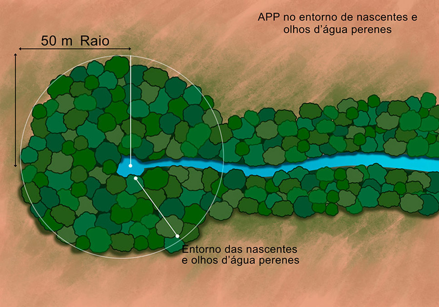 Conhecendo E Preservando As Nascentes Blog